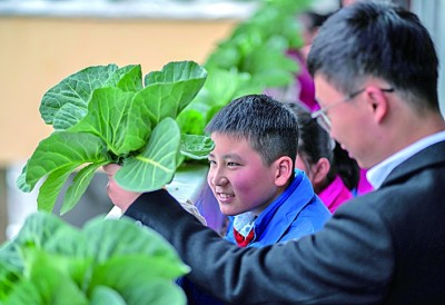 浙江丽水市莲都区高溪小学的学生在老师的带领下，在教学楼走廊上观察成熟的蔬菜及根须。新华社发