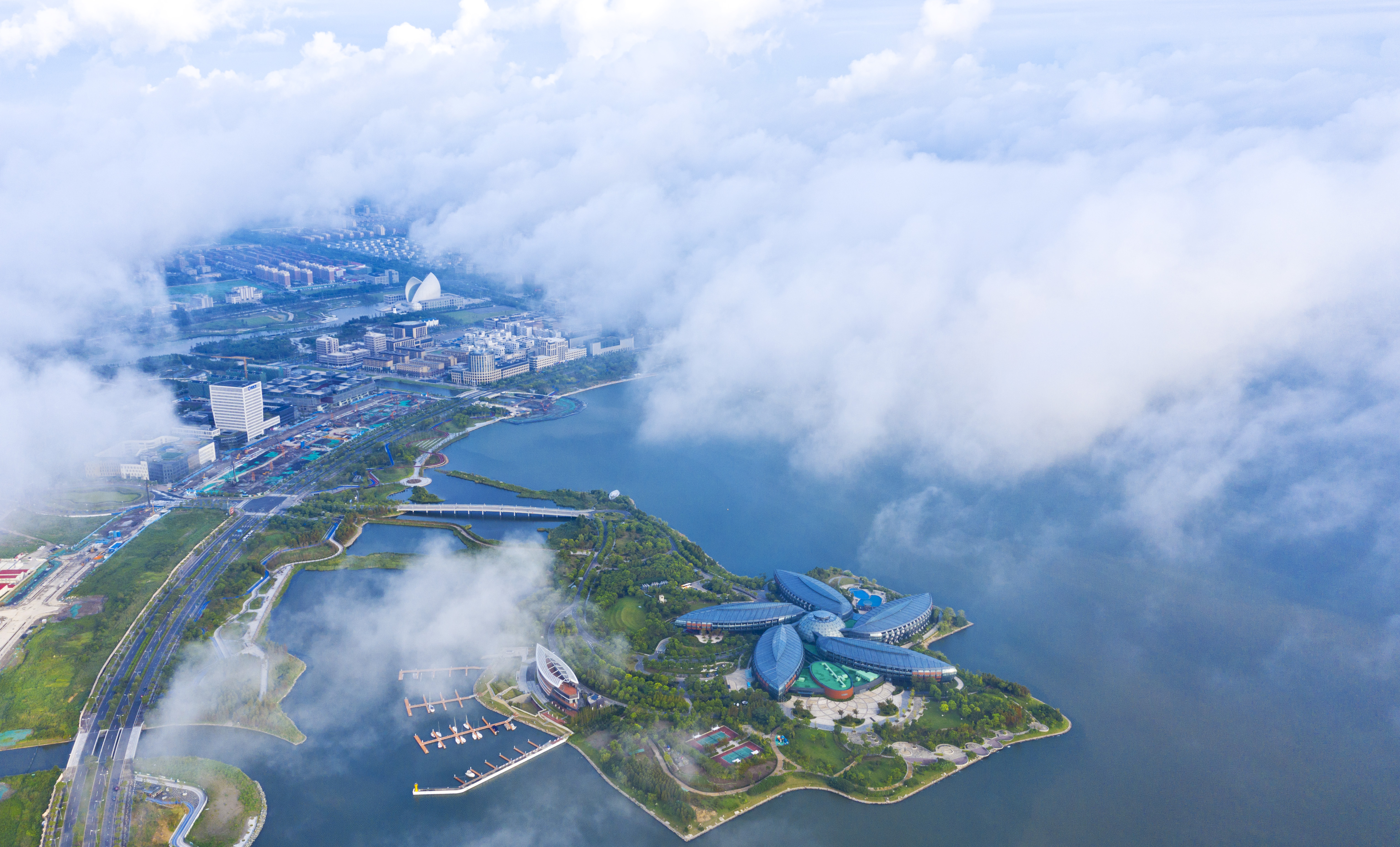 推进临港新片区城市数字化转型,建设全域感知的智能物联专网