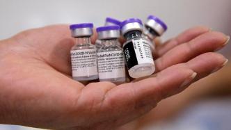 美媒：辉瑞疫苗预计在下周获得美国食药局的全面批准