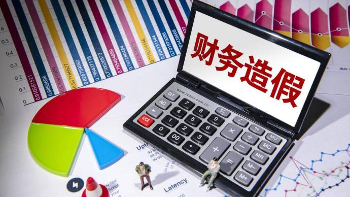 国办:加强财会监督大数据分析,对财务造假精准打击