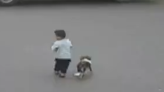 2岁萌娃走失，身后跟着一只“贴身保镖”小狗