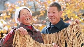 绿皮书：40余年来甘肃全省农民人均收入增长94倍