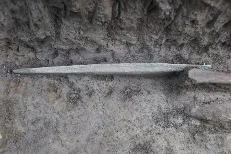 柳叶剑。成都文物考古研究院供图