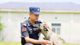 安徽铜陵7条警犬今年退役，将转赠政府、企事业单位