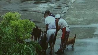 上海81岁老人骑车不慎栽入路边小河，村民救人后还修了围栏