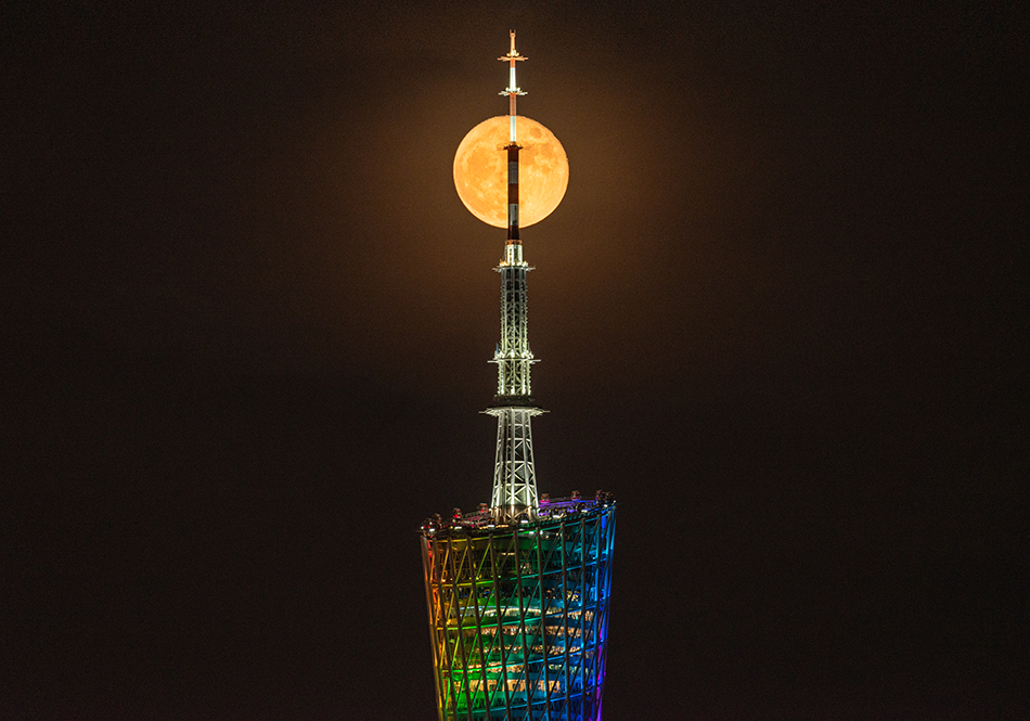 2021年8月23日,广州越秀区,金色圆月与广州塔完美相遇.