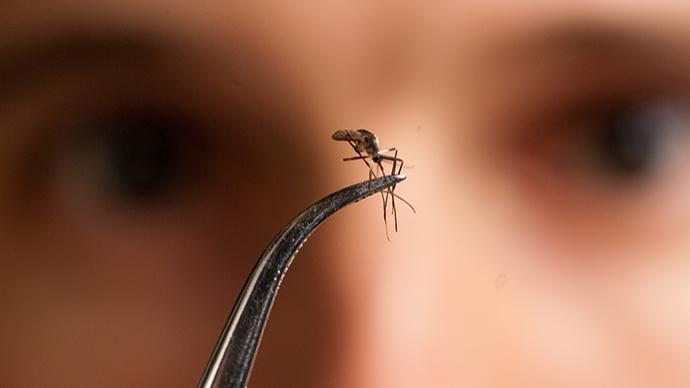 經濟日報：核技術滅蚊是“小題大做”嗎？