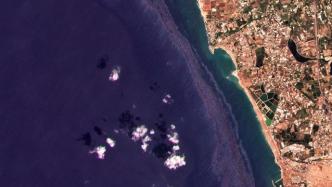 外媒：叙利亚石油泄漏污染地中海，油污今或到达塞浦路斯
