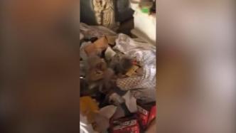 安徽一女租客拖欠房租后失联，房东发现屋子垃圾成堆外卖生蛆