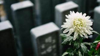 湖南：整治活人墓，限期改造以家族形式整间出售的骨灰存放设施