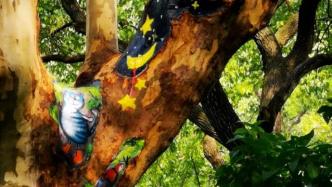 小猫、小狗、大熊猫纷纷“上树”，上海一公园用彩绘修复树洞