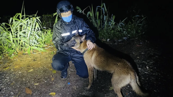 马犬为保护民警与眼镜蛇搏斗牺牲