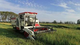 中国农科院草原所研制羊草种子收获新装备，损失低于5.3%
