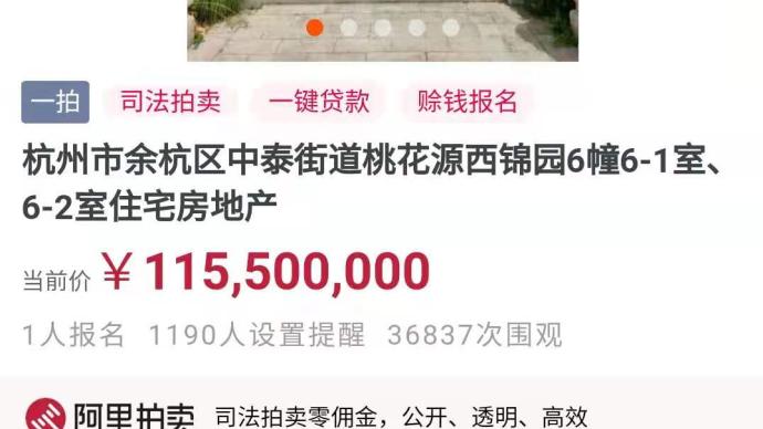 杭州“最贵法拍房”1.16亿元开拍，目前仅一人报名未出价