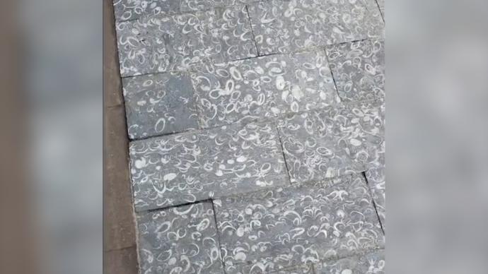 遵义一地千米铺路石经鉴定为4亿年前化石