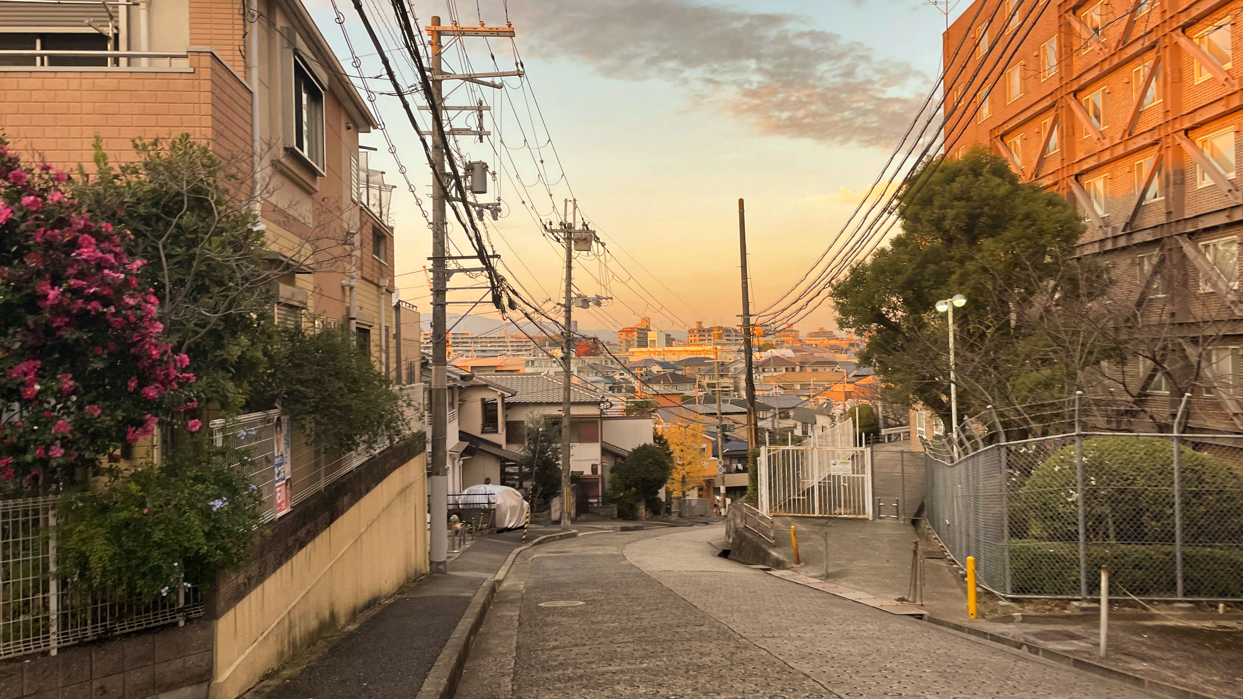 大阪府吹田市街头。 殷冰 供图