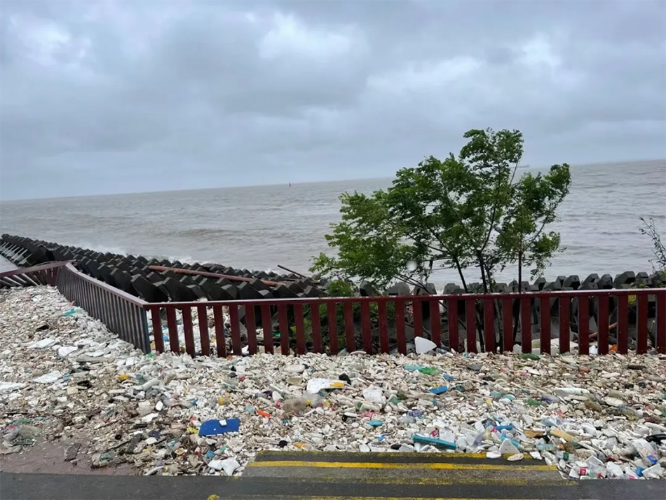 台风“烟花”过境后，滨江岸线堆满垃圾。 本文图片 上海滨江森林公园 图