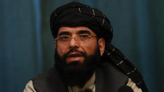塔利班发言人：不允许任何组织利用阿富汗从事恐怖活动