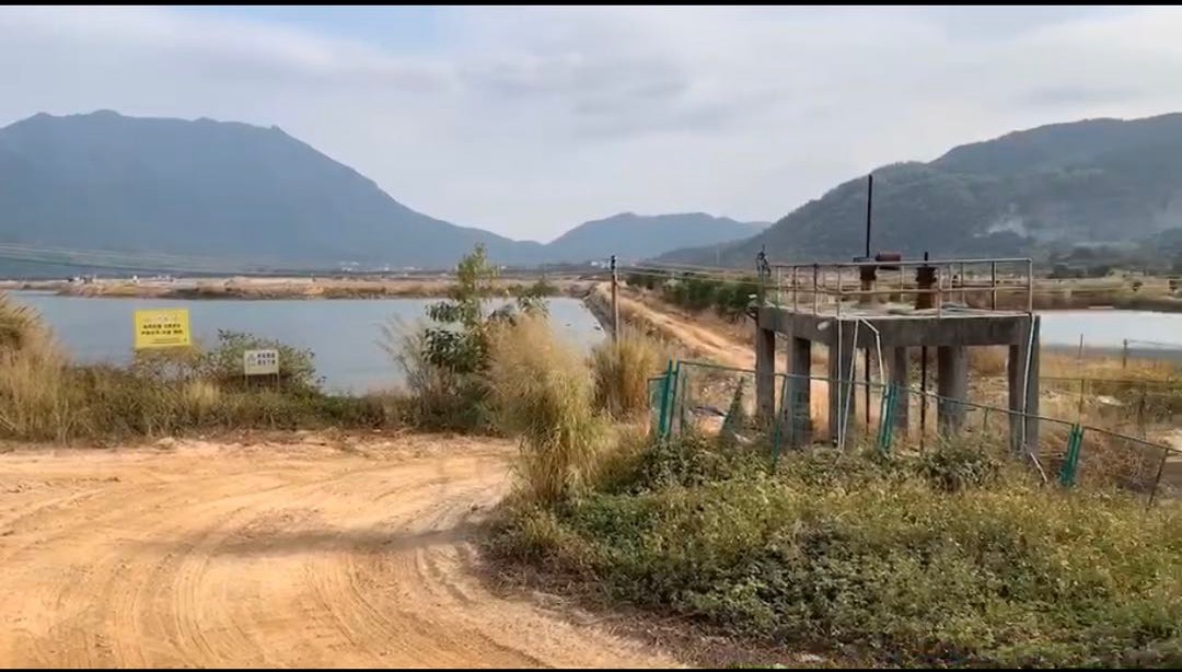 东山水产养殖基地  受访者 供图