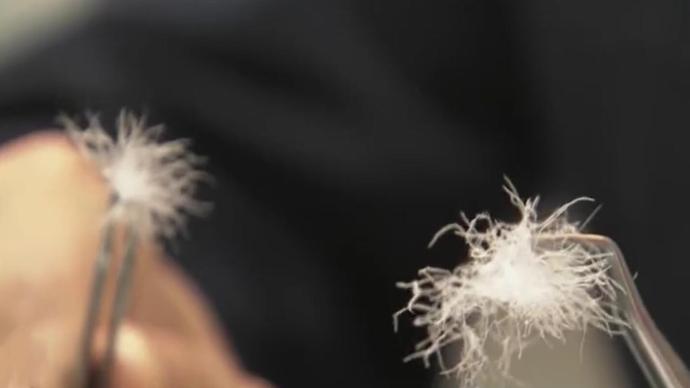 加拿大鵝最保暖羽絨為虛假廣告,專家:羽絨品質(zhì)和產(chǎn)地?zé)o關(guān)