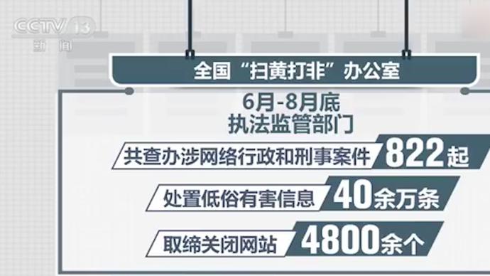 “净网行动”已取缔关闭网站4800余个