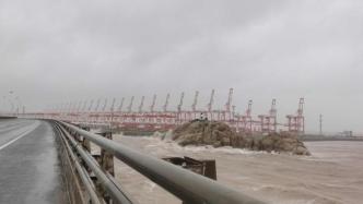 上海洋山港封港迎战台风，多措并举保障外轮离港避风