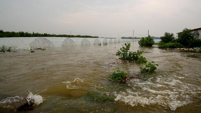 河南省回應災害影響：87萬公頃農作物受災，正搶種補種改種