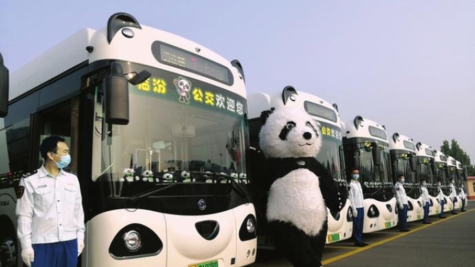 电力十足、又萌又环保，山西临汾“熊猫公交”来了！