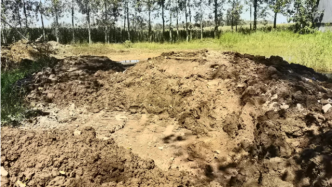 江苏沛县非法倾倒污泥被通报，回应：已在清理和着手土壤修复