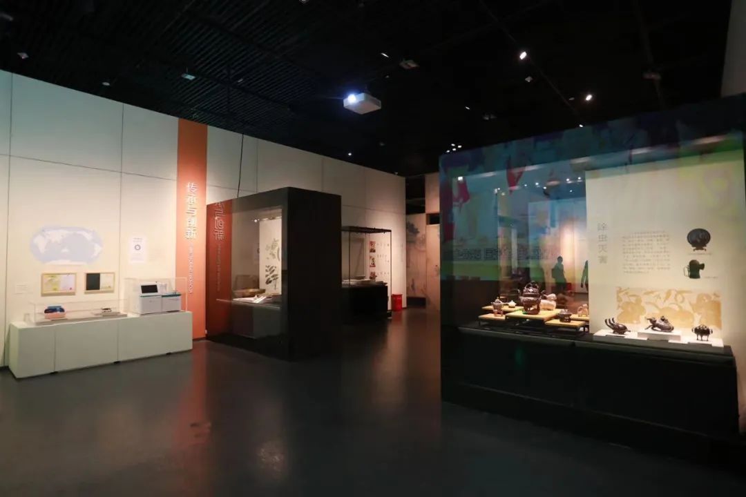 “发现中医之美”:中医药重磅考古文物展亮相成都 “发现中医之美”:中医药重磅考古文物展亮相成都