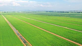 中国迈向农业科技强国关键阶段，农业科研国家队发布使命清单