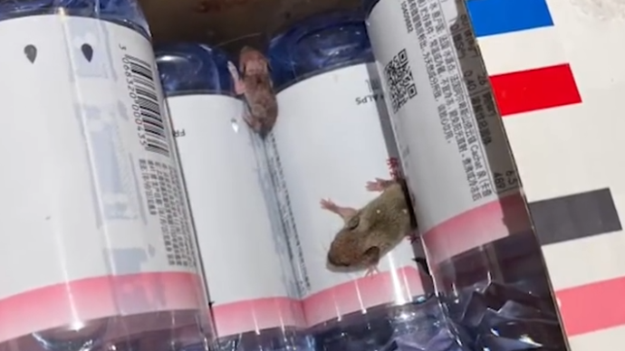 天貓超市回應“網購礦泉水箱中現2只老鼠”：已致歉，正排查