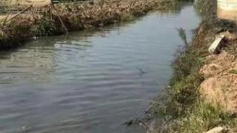 汕头一饮用水源保护区内有人挖塘养牛蛙，官方：已立案查处