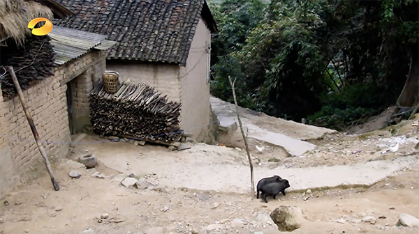 宗腊村。视频截图