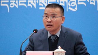 西藏教育厅原副厅长陆世成投案自首，正接受审查调查