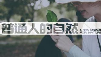 普通人的自然｜自然教育导师：在国家湿地公园讲一棵草