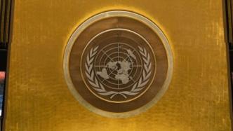 一图读懂丨中国恢复联合国合法席位50年表现