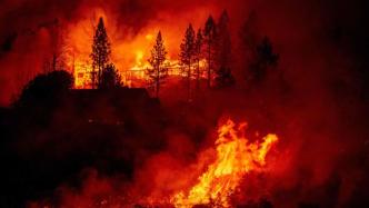 美国山火难解丨主动放火，原住民传统做法只是“违法行为”？