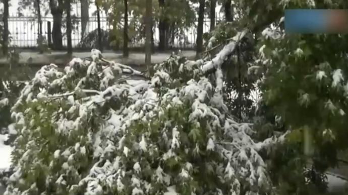 九月飛雪,俄羅斯西伯利亞的冬天提前到來