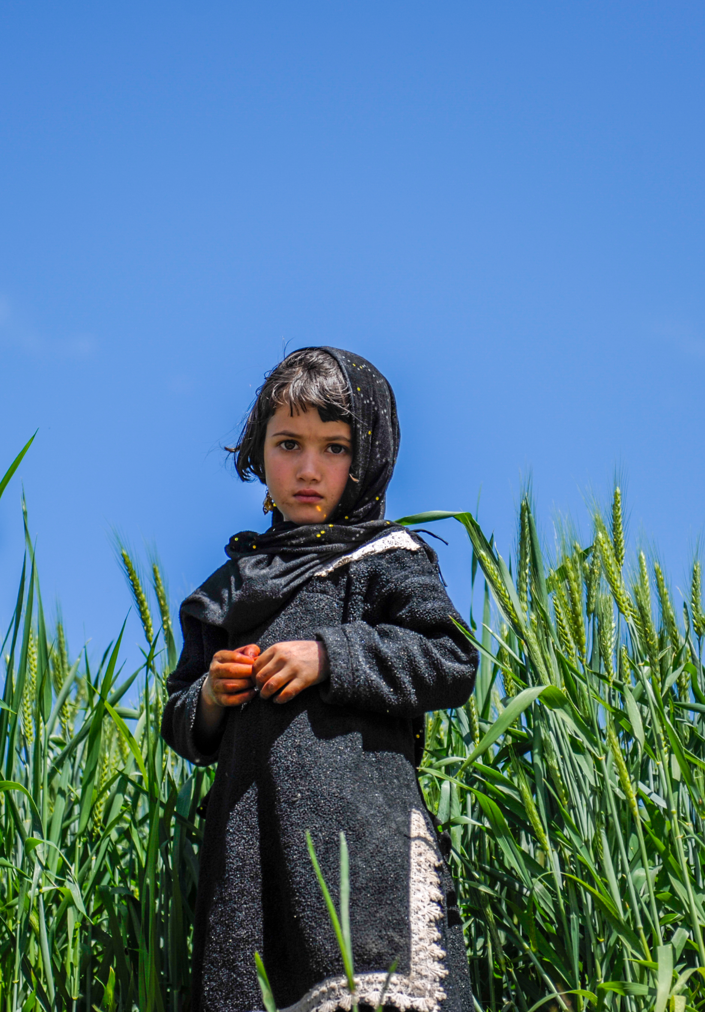 2009年4月9日,阿富汗东北部山区的农村小女孩站在小麦田间