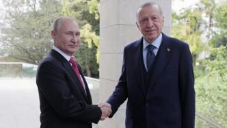 普京与埃尔多安疫情后首次当面会谈，就叙利亚问题交换意见