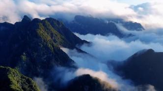 瞰见丨雨后秦岭，山岳如翠