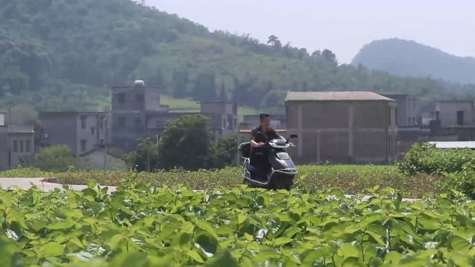 返乡的年轻人丨桑叶变美食，开创种桑养蚕新思路