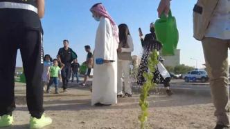 为应对气候挑战，科威特举行植树活动