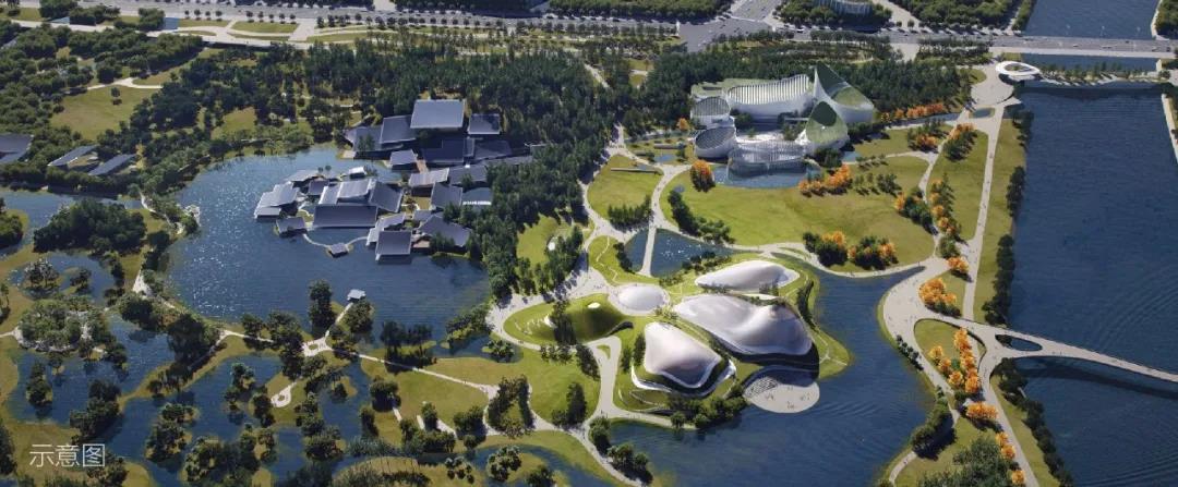 美之氧怎么用打造全球神往的森林群岛度假星球｜中国桃源森林国际旅游度假区_https://www.jmylbn.com_新闻资讯_第13张