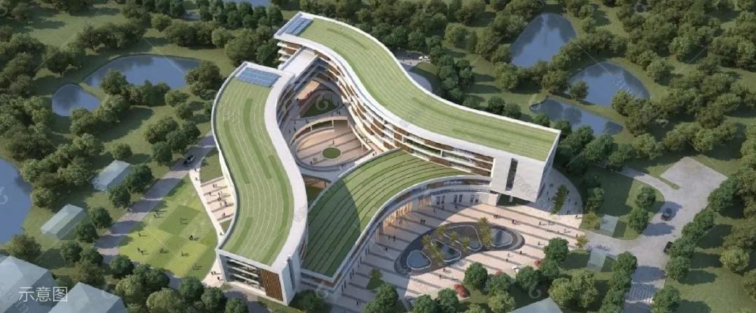 美之氧怎么用打造全球神往的森林群岛度假星球｜中国桃源森林国际旅游度假区_https://www.jmylbn.com_新闻资讯_第16张