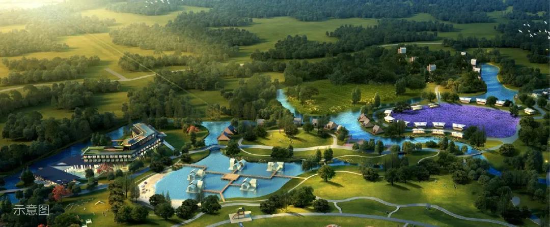 美之氧怎么用打造全球神往的森林群岛度假星球｜中国桃源森林国际旅游度假区_https://www.jmylbn.com_新闻资讯_第18张