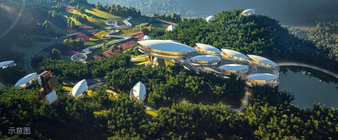 美之氧怎么用打造全球神往的森林群岛度假星球｜中国桃源森林国际旅游度假区_https://www.jmylbn.com_新闻资讯_第20张