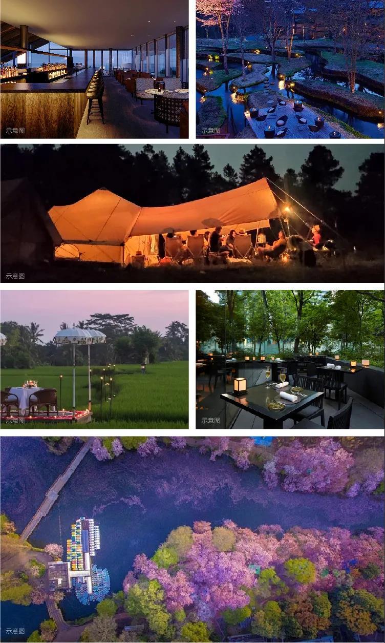 美之氧怎么用打造全球神往的森林群岛度假星球｜中国桃源森林国际旅游度假区_https://www.jmylbn.com_新闻资讯_第35张