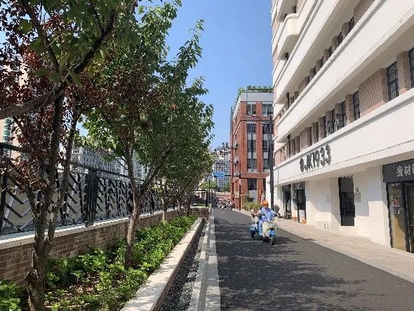 上海70条道路入围“精品示范路”名单!有你家附近的吗?-第6张图片-蓝狮娱乐 上海70条道路入围“精品示范路”名单!有你家附近的吗?-第6张图片-蓝狮娱乐